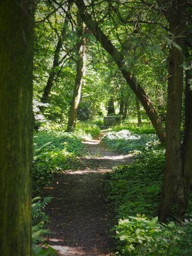 Widok parkowej ścieżki. Dominująca kolorystyka to soczysta zieleń liści drzew i krzewów.