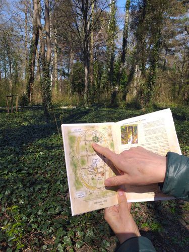 Widok na ręce trzymające otwartą broszurę. Osoba wskazuje palcem konkretne miejsce na mapiee znajdującej się w broszurze. Na dalszym planie widać drzewa rosnące w parku.